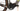 Rose Backroad+ 2023 - Shimano GRX - DT Swiss HG 1800 Spline