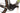 Rose Backroad+ 2023 - Shimano GRX - DT Swiss HG 1800 Spline