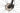 Trek Procaliber 9.5 2023 - Shimano Deore 1x12sp - Bontrager Kovee
