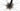 Cannondale SuperSix EVO CX 2024 - SRAM Force - DT Swiss R470