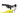 Cannondale Trail 8 2024 - microShift Mezzo - WTB SX19