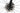 Pinarello Dogma F 2022 - SRAM Red AXS 2x12sp - Zipp 353