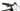 Bulls LT CX 2022 - Shimano Alivio - DDM2