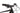 Bulls LT CX 2022 - Shimano Alivio - DDM2