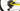 Scott Spark RC World Cup 2020 - SRAM NX - Aluminium