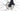 Canyon Endurace CF SLX 2021 - Shimano Ultegra Di2 2x12sp - Prototype Pro Tour