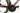 Orbea Orca M10i LTD 2025 - Shimano Dura-Ace Di2 2x12sp - Zipp 303 Firecrest