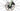 Eddy Merckx 525 Disc 2024 - SRAM Rival AXS 2x12sp - Forza Levanto