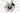Eddy Merckx 525 Disc 2024 - SRAM Rival AXS 2x12sp - Forza Levanto