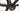 Orbea ORCA M20TEAM 2020 - Shimano Ultegra - FULCRUM Racing 400