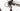 Focus Cayo 2011 - Shimano Ultegra - Progress