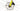 Specialized Crux Expert 2025 - SRAM Rival eTap AXS 1x12sp - Roval Terra C