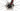 MMR Adrenaline SL 00 2019 - SRAM Red AXS 2x12sp - DT Swiss