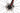 MMR Adrenaline SL 00 2019 - SRAM Red AXS 2x12sp - DT Swiss