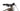 Trek Rail 5 2023 - Shimano Deore - Aluminium