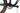 Cannondale Scalpel 2021 - SRAM GX AXS 1x12sp - Speedsix Earth
