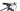Scott Spark RC 900 Team Issue 2021 - SRAM X01 AXS 1x12sp - Syncros Silverton 2.0