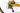 Scott Speedster Gravel 40 EQ 2023 - Shimano Tiagra 2x10sp - Syncros Race 24