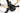Orbea Orca M20iLTD 2019 - SRAM Force AXS 2x12sp - Oquo RP35 Team