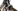 Focus Cayo 2011 - Shimano Ultegra - Progress