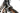 Focus Cayo 2011 - Shimano Ultegra - Progress