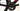 Trek Madone SLR 2024 - Shimano Dura-Ace Di2 2x12sp - DT Swiss ARC 1100