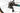 Specialized S-Works Tarmac SL6 Disc 2019 - Shimano Dura-Ace Di2 2x11sp - Campagnolo Bora One 35