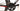 Specialized Tarmac SL4 Pro 2019 - SRAM Force - Roval Rapide SL 45