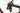 Giant TCR Advanced Pro 0 2022 - SRAM Rival AXS 2x12sp - Giant SLR 1