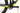 Scott Spark RC 900 World Cup 2020 - SRAM XX1 - DT Swiss XR 1700
