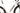 Berria Allroad Carbon Pro - SRAM Rival AXS 2x12sp - Zipp 303 S