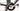 Cannondale Slice 2017 - Shimano Ultegra - Fulcrum Racing 7