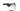 Wilier USMA SL - Shimano SLX - Miche 966 SPR