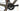 Cannondale SuperSix EVO SE 2022 - SRAM Rival AXS - DT Swiss CR 1600