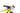 Scott Spark RC World Cup 2020 - SRAM NX - Aluminium