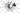 3T Exploro 2024 - Campagnolo Ekar - Fulcrum Racing 800
