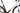 Scott Addict RC Pro - Shimano Dura-Ace Di2 2x12sp - Syncros Capital 1.0