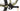 Orbea OIZ M30 2021 - Shimano XT - DT Swiss X-1900 Spline 25c TLR 15/110mm CL