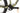 Orbea OIZ M30 2021 - Shimano XT - DT Swiss X-1900 Spline 25c TLR 15/110mm CL