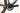 BMC URS ONE 2025 - Sram Rival 1 1x11sp - DT Swiss C1850 Spline