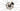 Giant Defy Advanced Pro 1 2024 - SRAM Rival AXS 2x12sp - Giant SLR Carbon