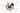 Giant Defy Advanced Pro 1 2024 - SRAM Rival AXS 2x12sp - Giant SLR Carbon