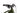Stevens E-Inception TR 6.5 2021 - Shimano Deore - Gurpil Alpha