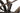 Haibike AllMtn 2 2024 - SRAM SX - WTB ST i30