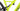 Specialized Turbo Levo 2019 - SRAM NX - DT Swiss HX531