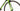 Cannondale Synapse Carbon 5 2018 - Shimano 105 - Mavic Aksium