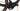 Orbea Denna M20i 2025 - Shimano XT Di2 - Oquo RC25 Team