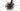 Giant TCR Advanced Pro Team 2021 - SRAM Red eTap - Zipp 302