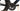 Canyon Speedmax CF 2019 - Shimano Ultegra Di2 2x11sp - DT Swiss ARC 1400