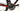 MMR Adrenaline SL 00 2019 - SRAM Red AXS 2x12sp - DT Swiss